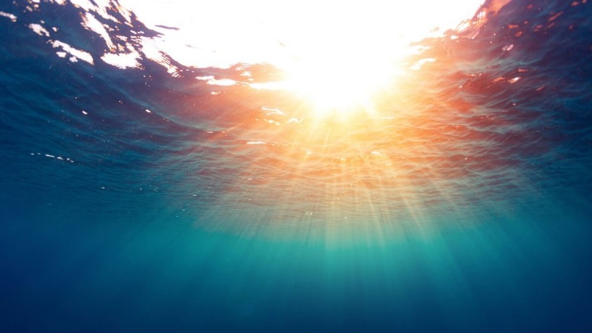 ¡Se descubre agua dulce bajo el océano! 🌊💧💦 Chismes Today