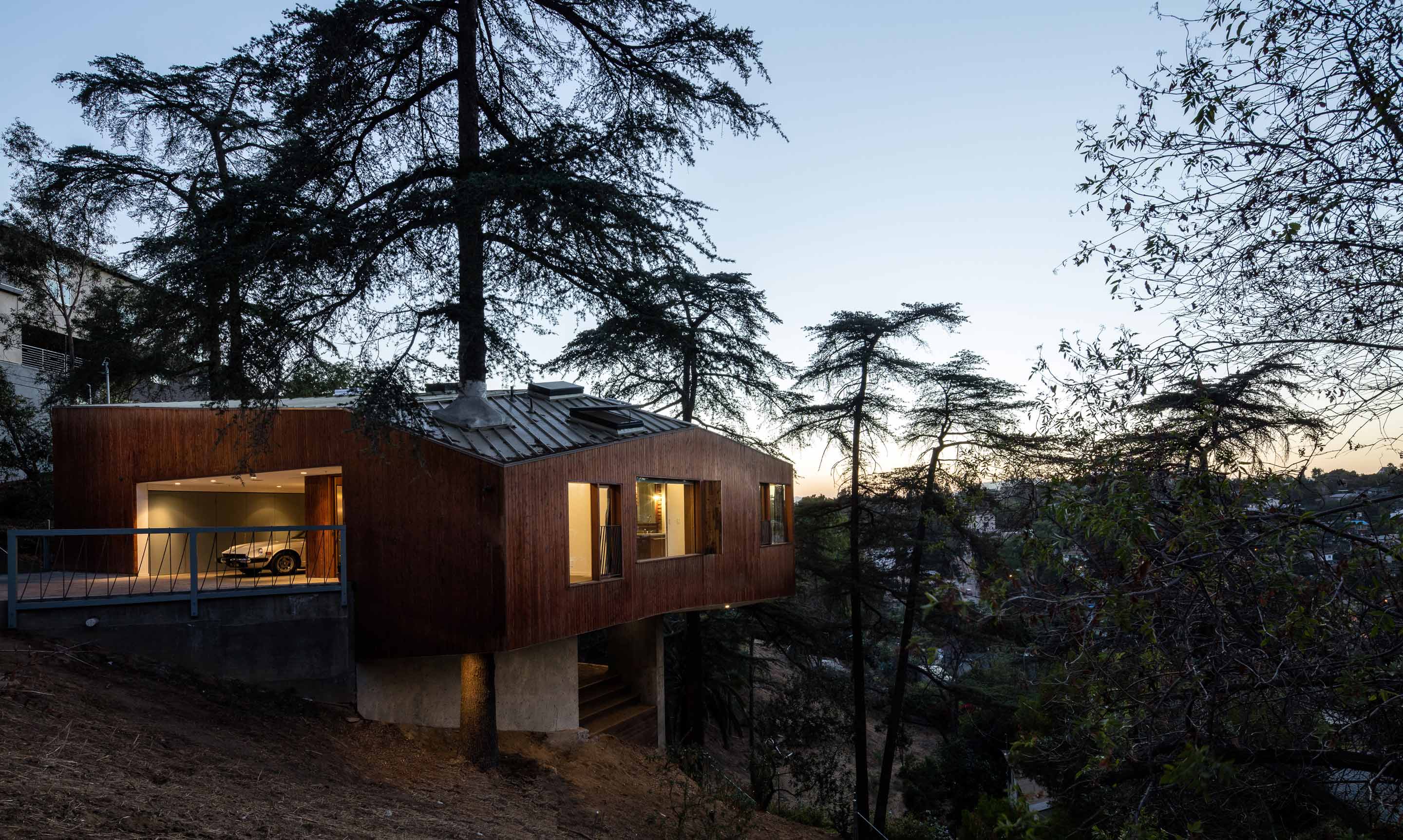 Sorprendentes casas del árbol 🏠🌳 - Chismes Today