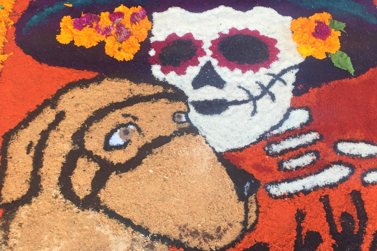 Los mejores tapetes de Día de Muertos 💀🧡 Chismes Today