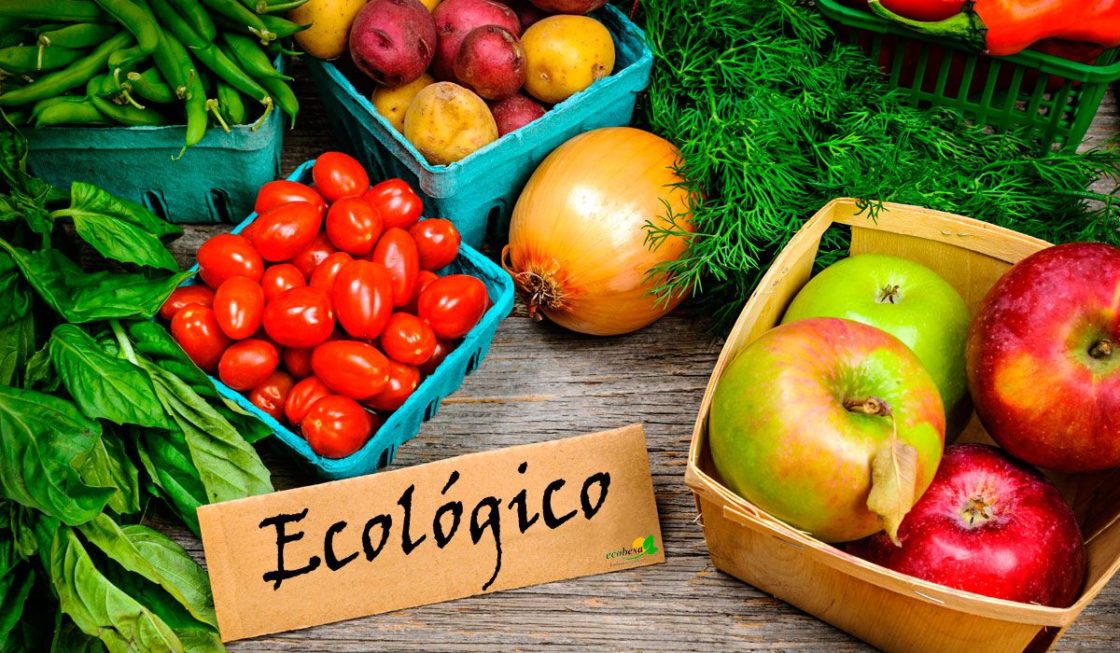 Diferentes tipos de alimentación ecológica 🥦🥕🥔♻ Chismes Today Diferentes tipos de alimentación ecológica 🥦🥕🥔♻ Chismes Today