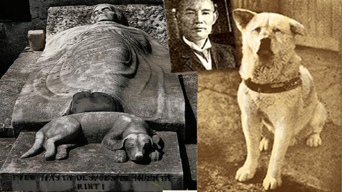 La verdadera historia de Hachiko 🐶🇯🇵 Chismes Today