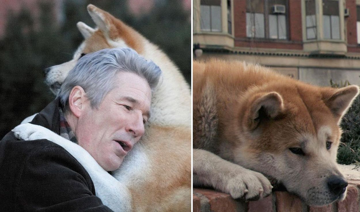 Hachiko, el perro de la película "Siempre a tu lado" tiene dos estatuas
